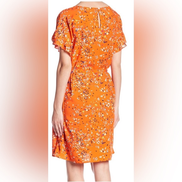 BeachLunchLounge Salma Mini Dress w Flutter Sleeves in Red Peonies - Picture 6 of 8